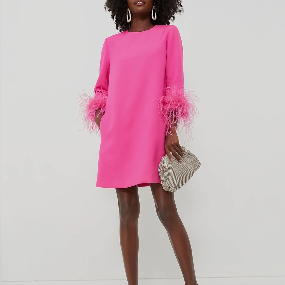 TUCKERNUCK Hot Pink Feather Mod Mary Dress - worn once!